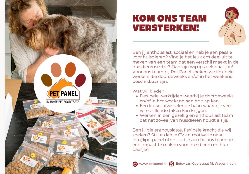 Projectondersteuner